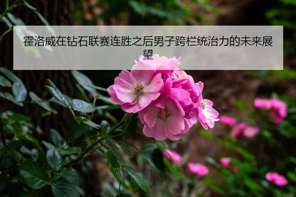 霍洛威在钻石联赛连胜之后男子跨栏统治力的未来展望