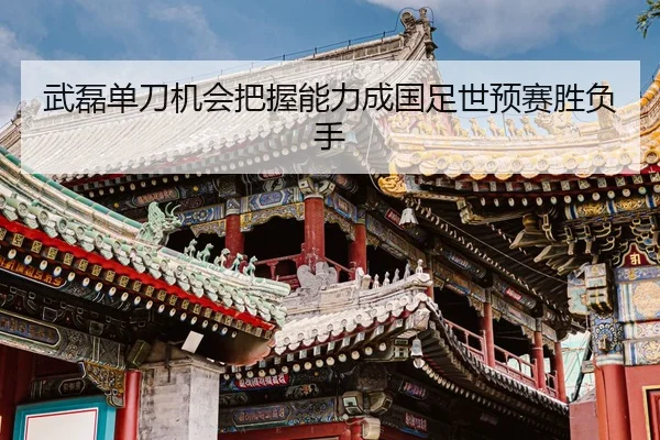 wu-lei-dan-dao-ji-hui-ba-wo-neng-li-cheng-guo-zu-shi-yu-sai-sheng-fu-shou-2-703.jpg