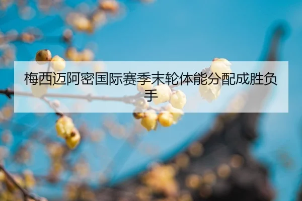 mei-xi-mai-a-mi-guo-ji-sai-ji-mo-lun-ti-neng-fen-pei-cheng-sheng-fu-shou-2-618.jpg