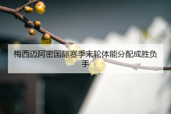mei-xi-mai-a-mi-guo-ji-sai-ji-mo-lun-ti-neng-fen-pei-cheng-sheng-fu-shou-3-953.jpg