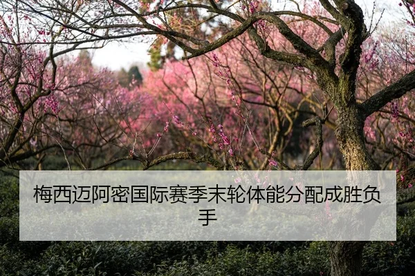 梅西迈阿密国际赛季末轮体能分配成胜负手